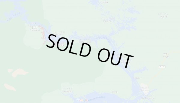 赤点線部分がLAGO BATATA